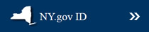 NY.gov ID